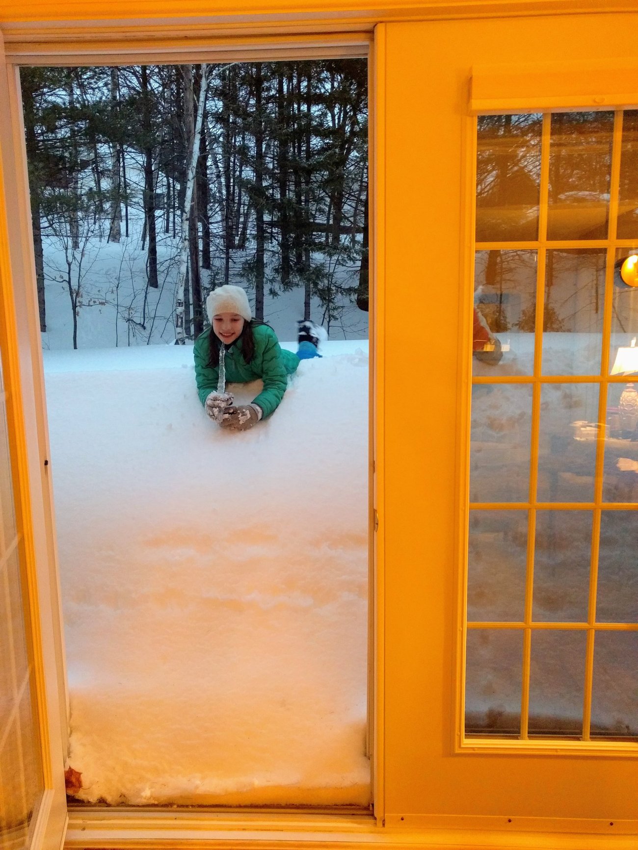 Presque Isle Snow, window