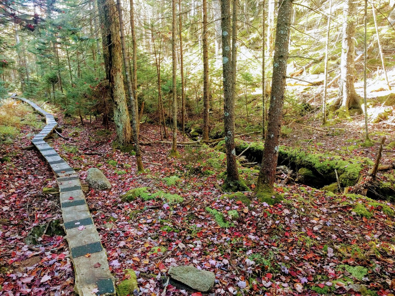 Acadia Path