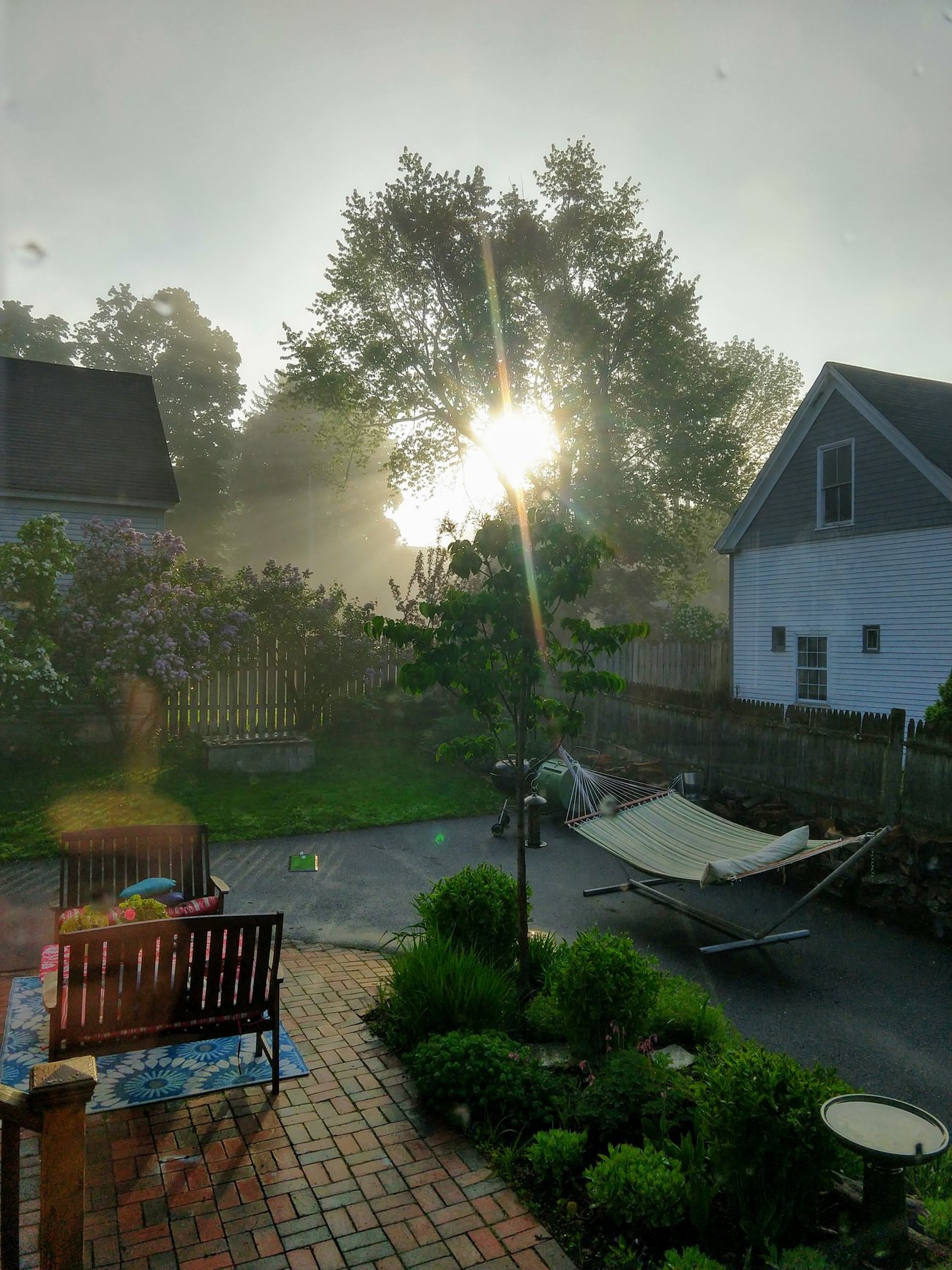 Backyard Sunrise