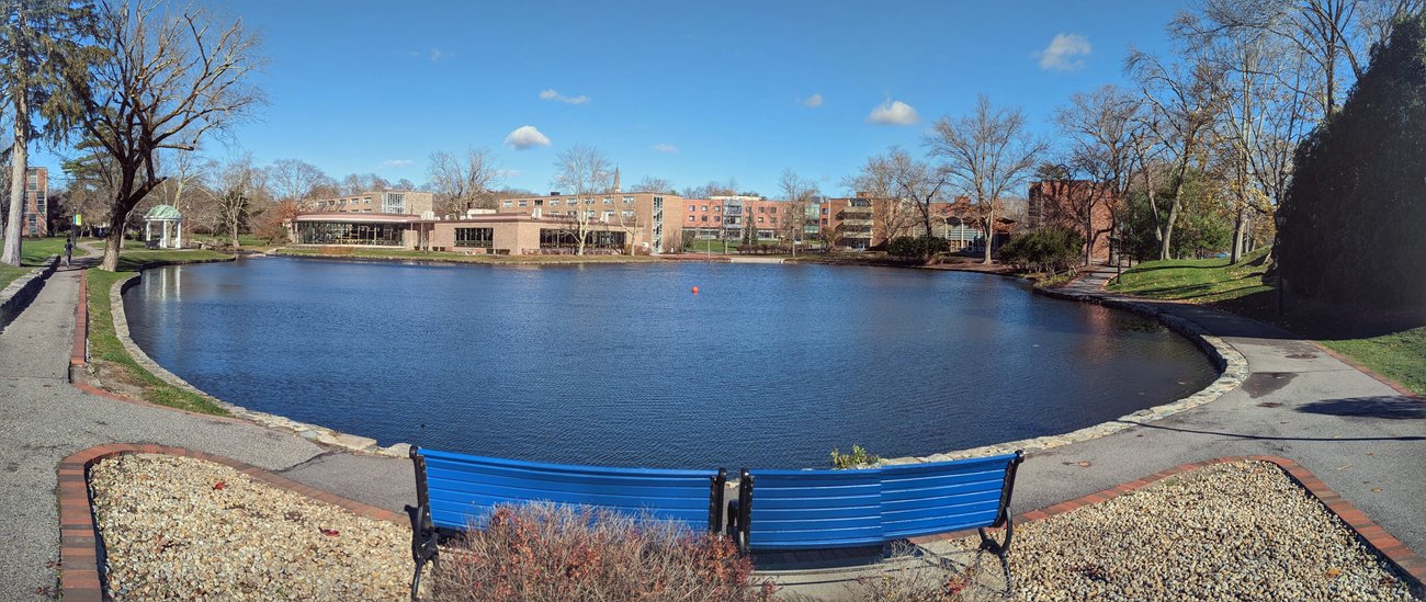 Peacock Pond