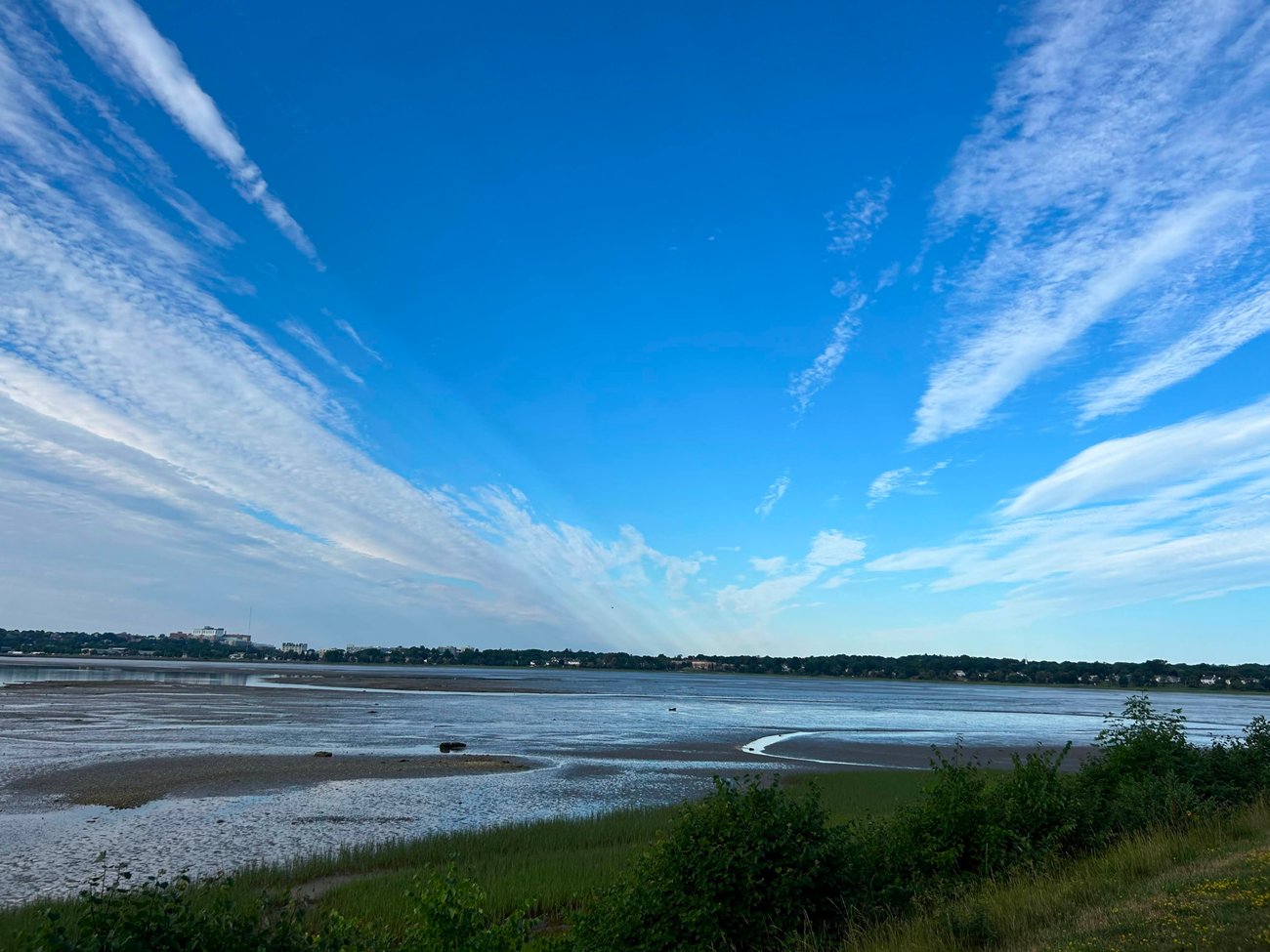 Back Cove Clouds