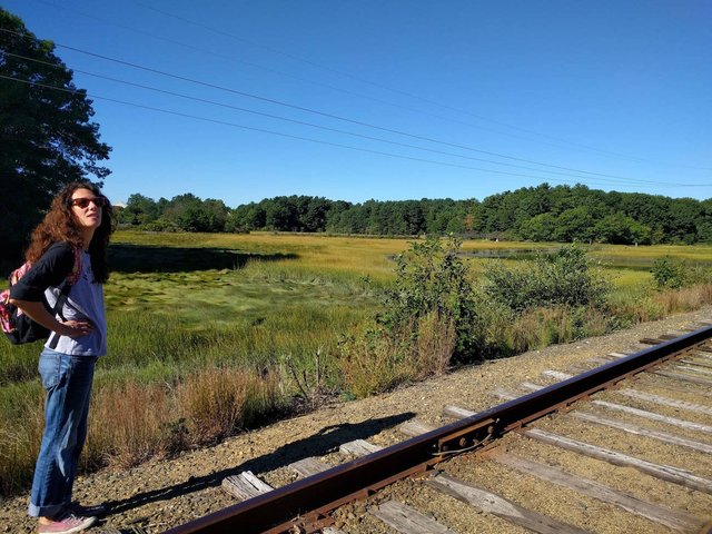 fore river sanctuary